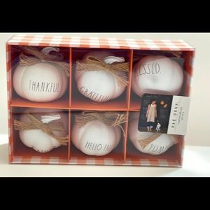 Rae Dunn Pumpkin Decor Set of 6 pumpkins.